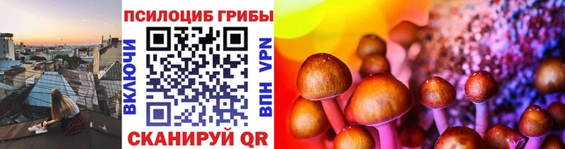 Псилоцибиновые грибы Magic Shrooms  Купить где  Заводоуковск 
